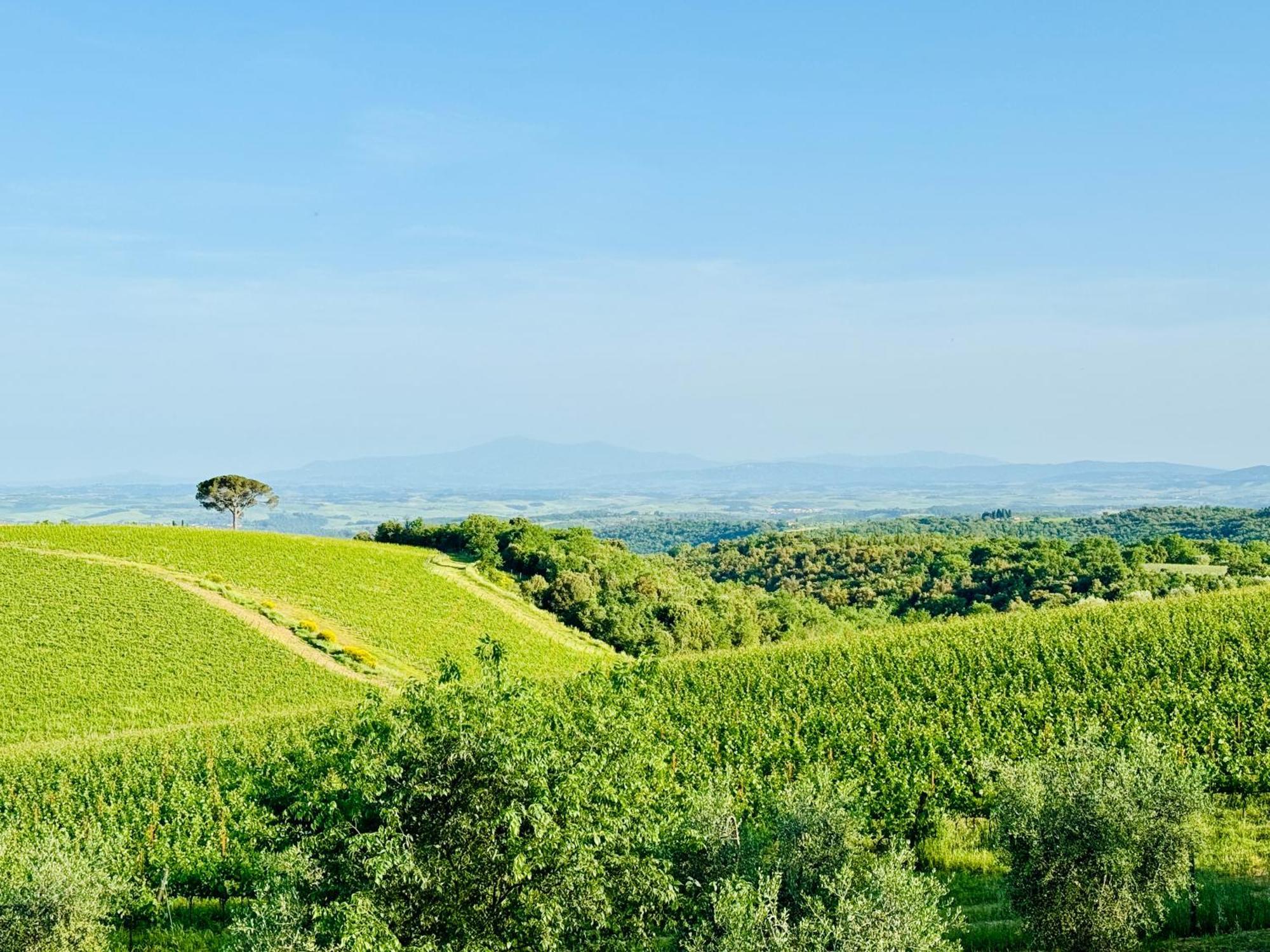 Libertas Tuscan Hideaway San Sano المظهر الخارجي الصورة
