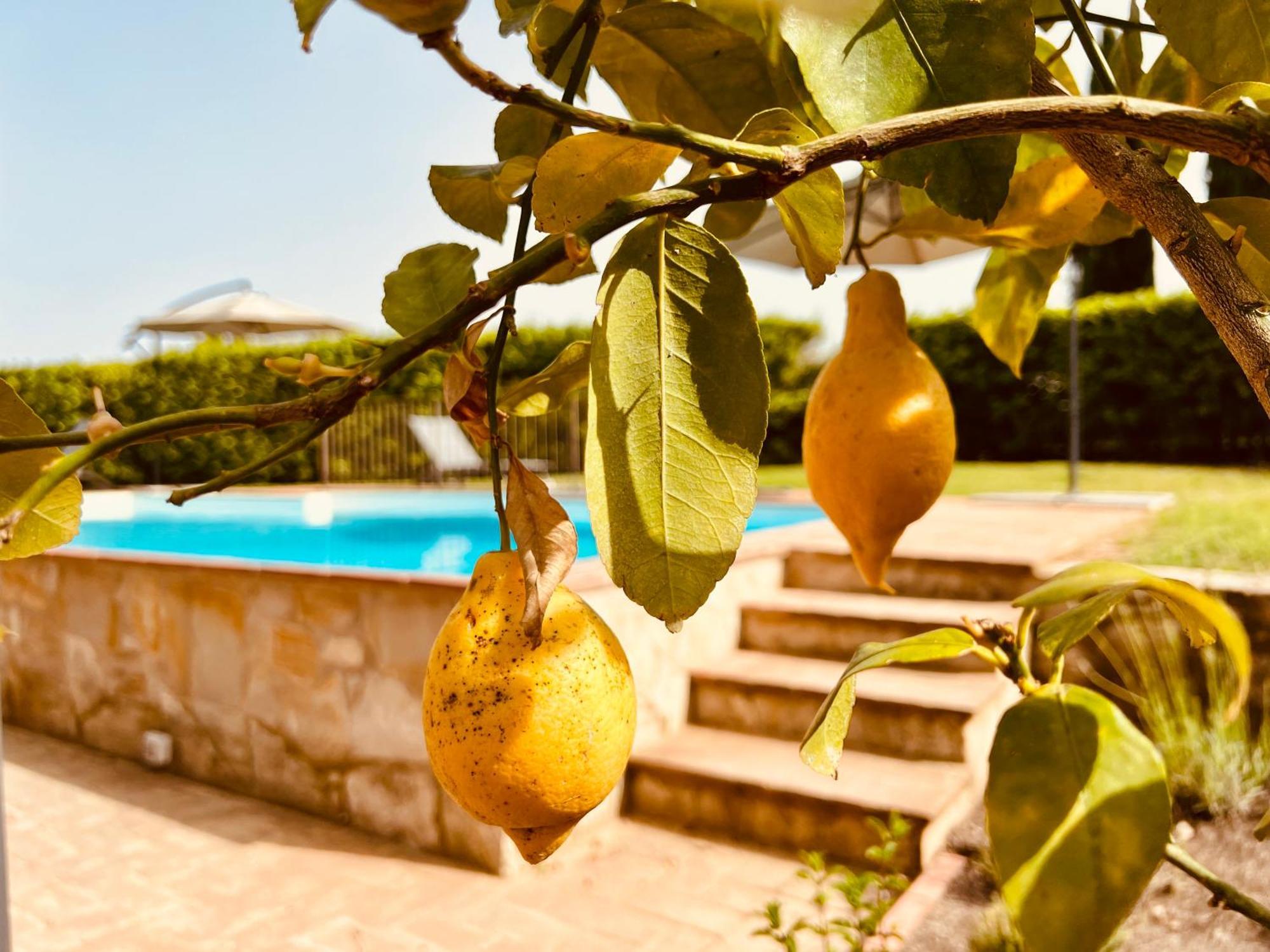 Libertas Tuscan Hideaway San Sano المظهر الخارجي الصورة