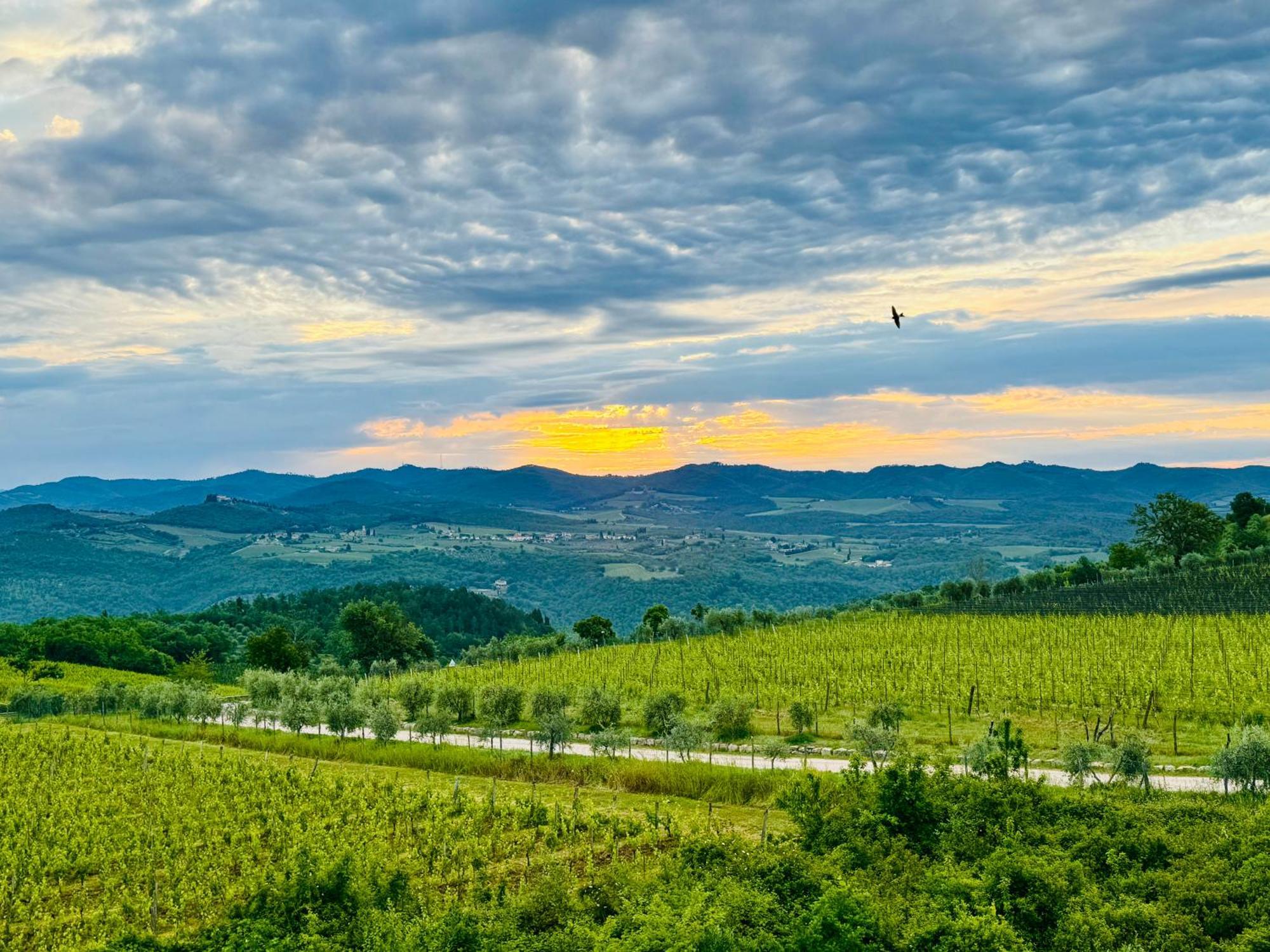 Libertas Tuscan Hideaway San Sano المظهر الخارجي الصورة
